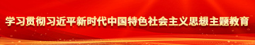 在线免费操女生的逼看学习贯彻习近平新时代中国特色社会主义思想主题教育